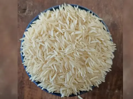basmati mega menu