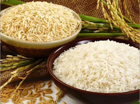 Sona Rice