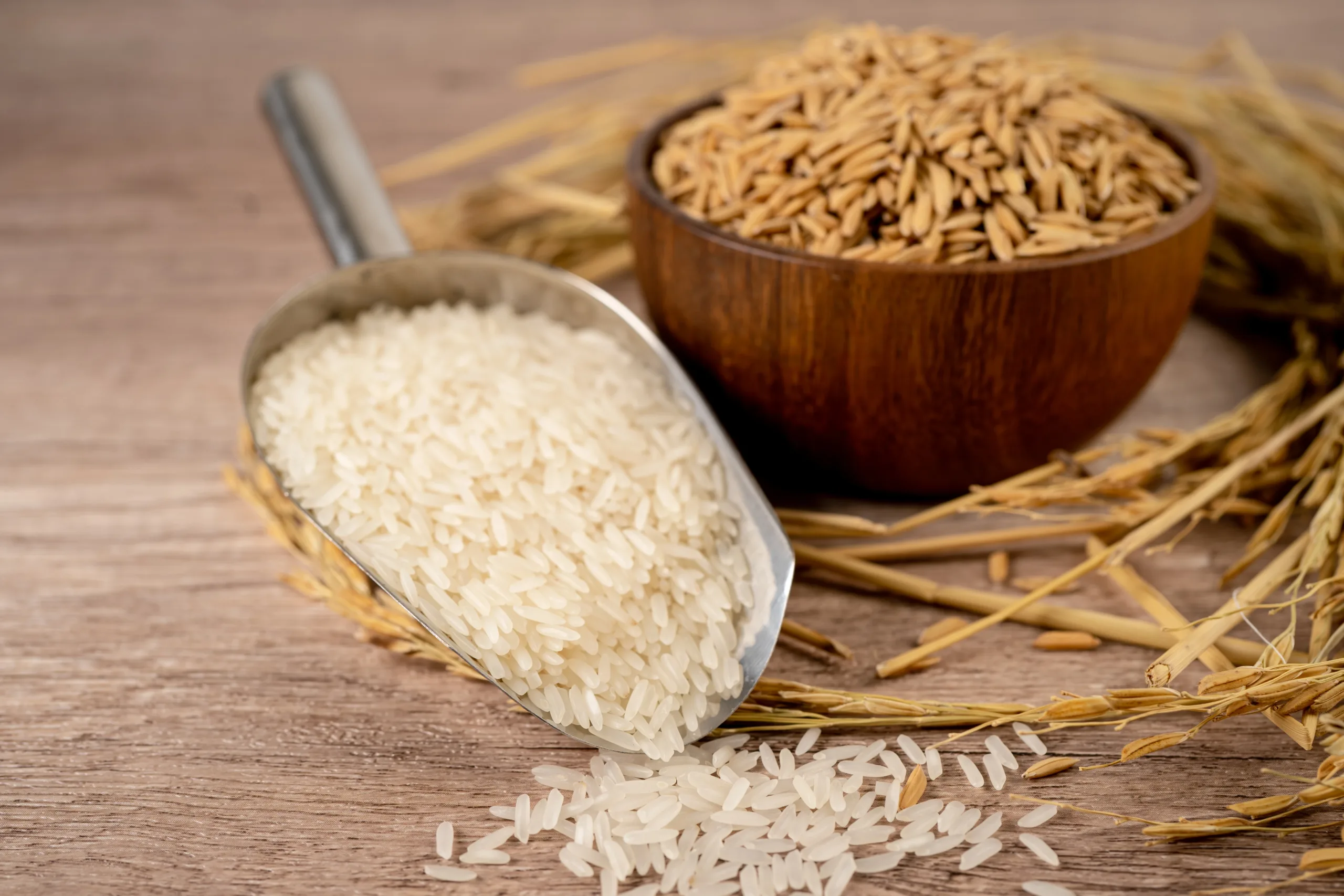 How to Choose the Right Rice for Your Family’s Needs