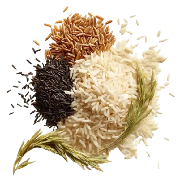 monthly rice bag
